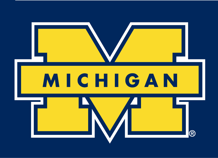 Michigan Wolverines 1996-Pres Secondary Logo t shirts iron on transfers v2